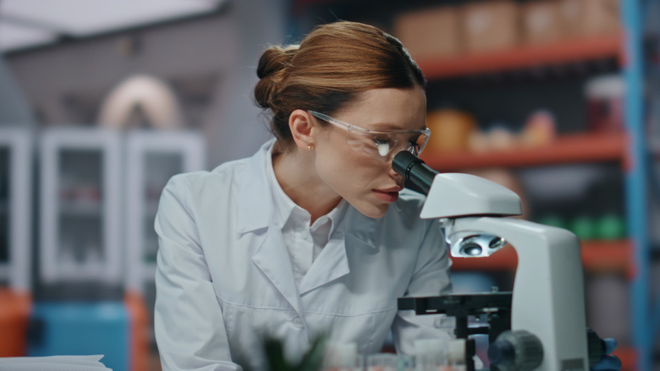 Personal investigador en su plan de formación